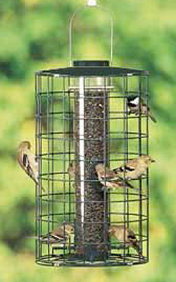 Metal Roofed Bird Sanctuary