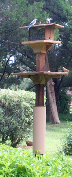 Mourning Dove bird feeder and Seed Catcher Tray