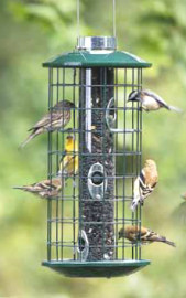 Duncraft Sunflower Haven