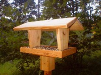 The Original Chickadee
