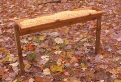 The White Tailed Feeder