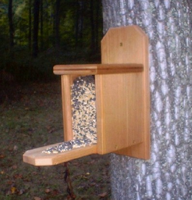 The Squirrelly-Byrd in Bird Mode.