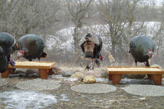 The Pheasant Tray Feeder